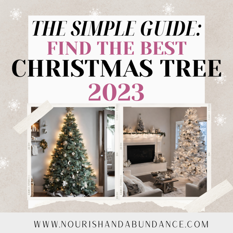 Find The Best Christmas Tree 2023 | Simple Guide